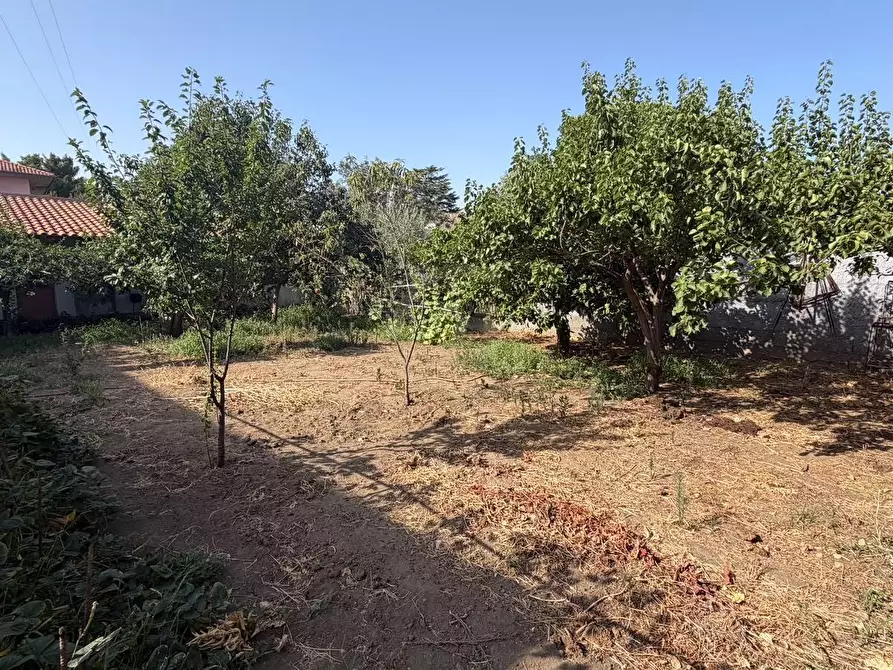 Immagine 9 di Appartamento in vendita  a Mascalucia