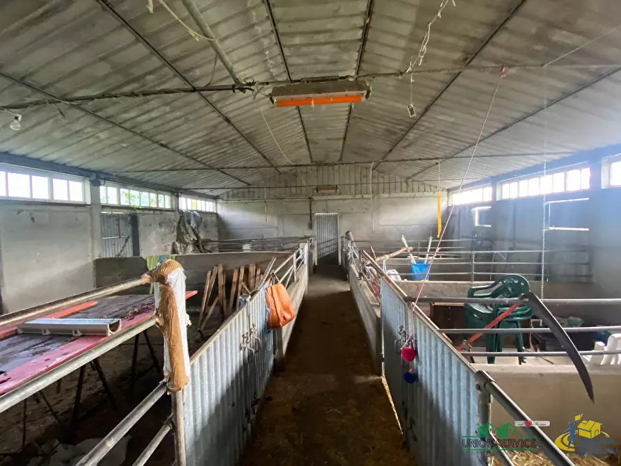 Immagine 41 di Casa indipendente in vendita  in Strada per Varano Marchesi 37 a Medesano