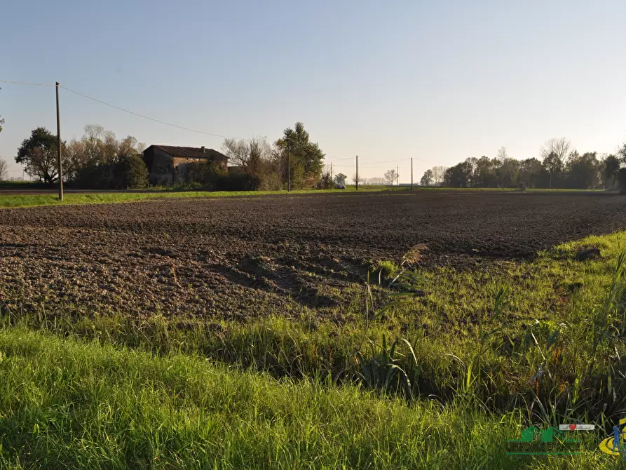 Immagine 21 di Terreno agricolo in vendita  in via SAN ROCCO snc a Parma