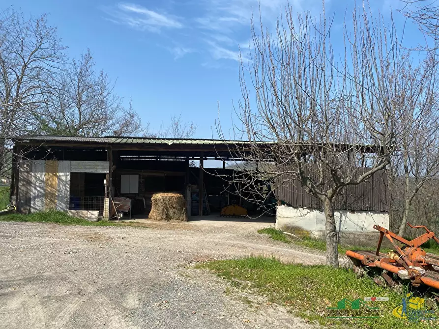 Immagine 19 di Terreno agricolo in vendita  in Miano a Medesano