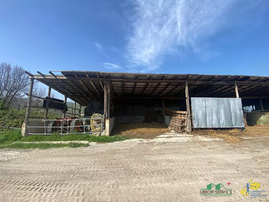 Immagine 13 di Terreno agricolo in vendita  in Miano a Medesano
