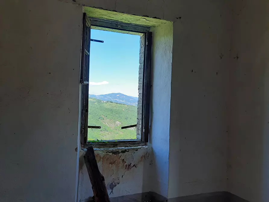 Immagine 26 di Terreno agricolo in vendita  in Località Molinelli 59 a Berceto