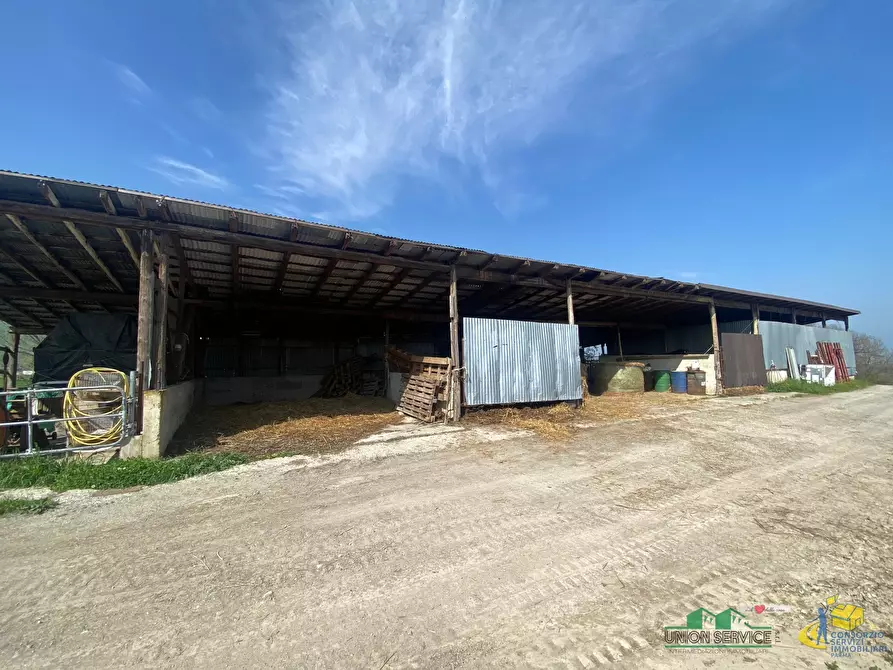 Immagine 14 di Terreno agricolo in vendita  in Miano a Medesano
