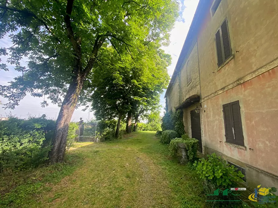 Immagine 8 di Villa in vendita  in Via Giuseppe Garibaldi 30 a Collecchio