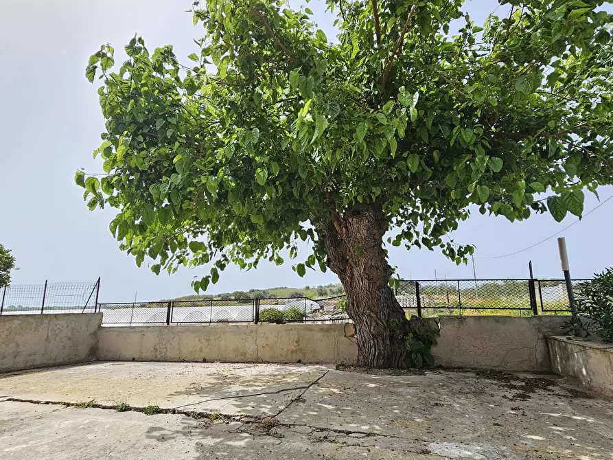 Immagine 13 di Villa in vendita  in Via del Gorgo Salato 481 a Ispica