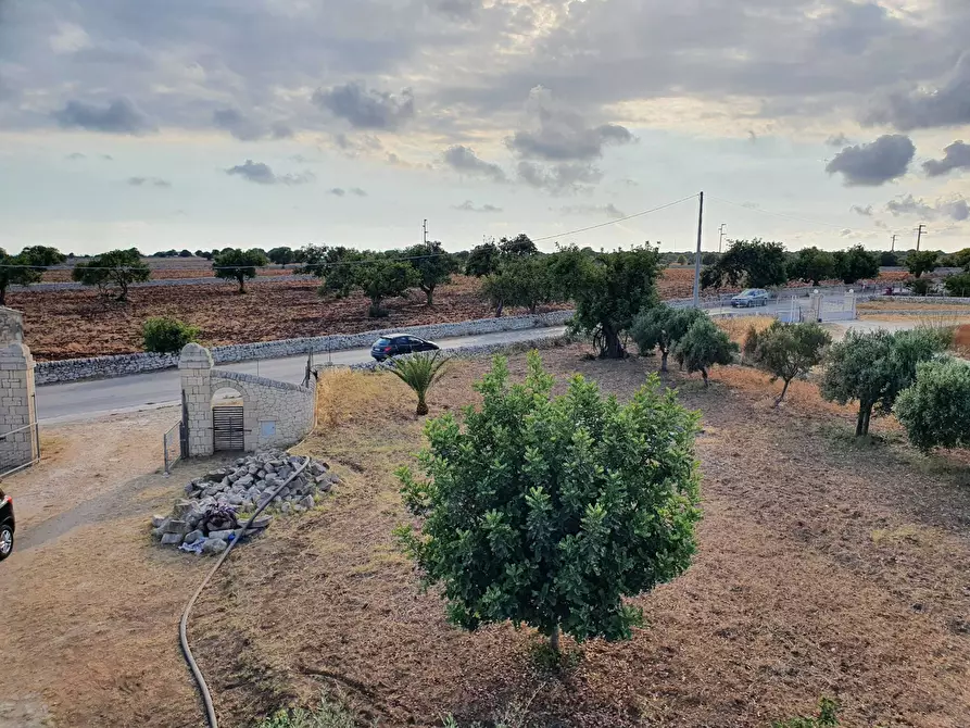 Immagine 28 di Villa in vendita  in Strada Provinciale 40 a Scicli