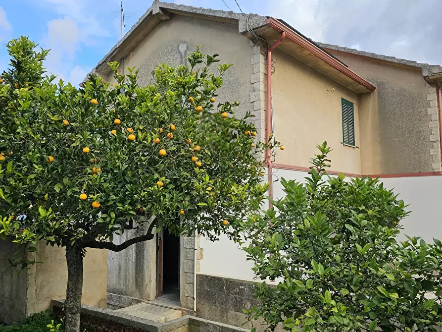 Immagine 13 di Casa bifamiliare in vendita  in Via San Giuliano Prima Traversa 2031 a Modica