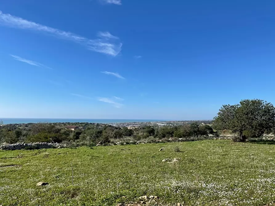 Immagine 9 di Terreno agricolo in vendita  in Contrada San Marco a Scicli