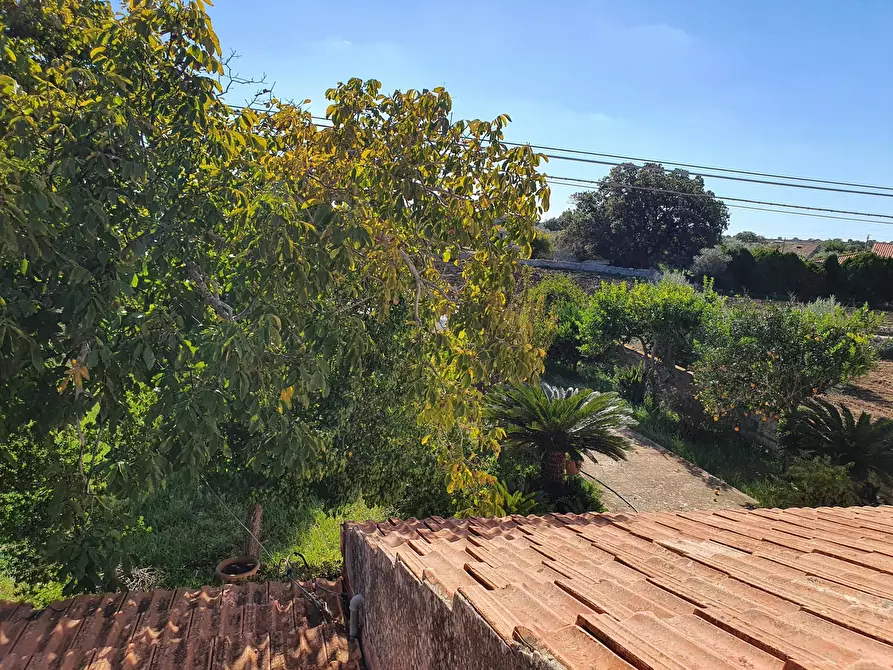 Immagine 16 di Villa in vendita  a Modica