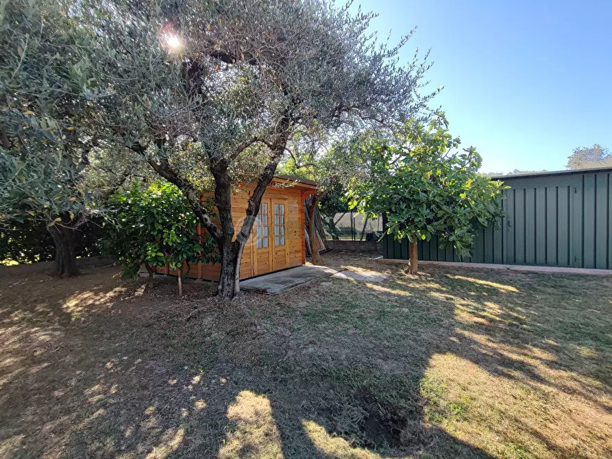 Immagine 5 di Terreno agricolo in vendita  a Arcola