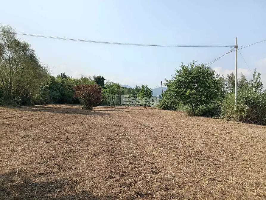 Immagine 3 di Terreno agricolo in vendita  in Via per Chiatri a Lucca