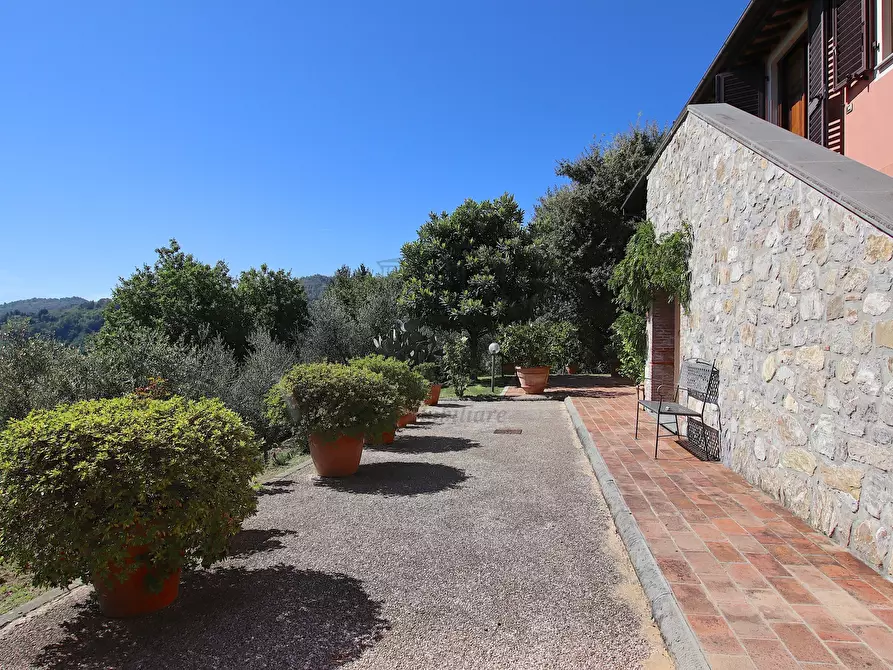 Immagine 54 di Rustico / casale in vendita  in Località Frantoio, Valdottavo 17 a Borgo A Mozzano