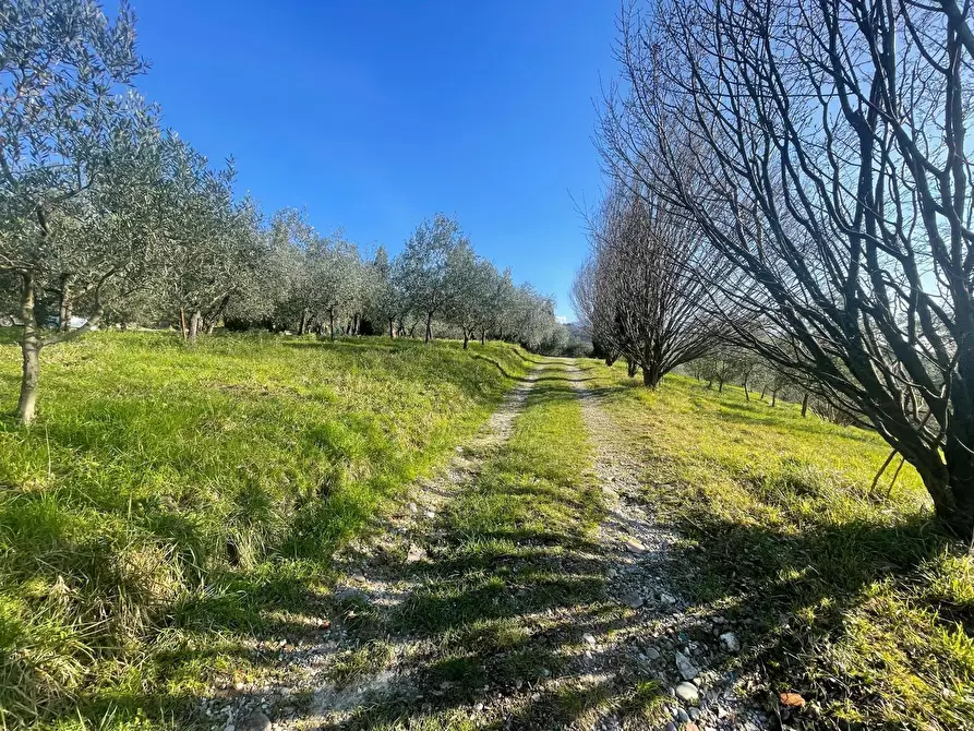Immagine 14 di Rustico / casale in vendita  in Via dei bertolotti a Lucca