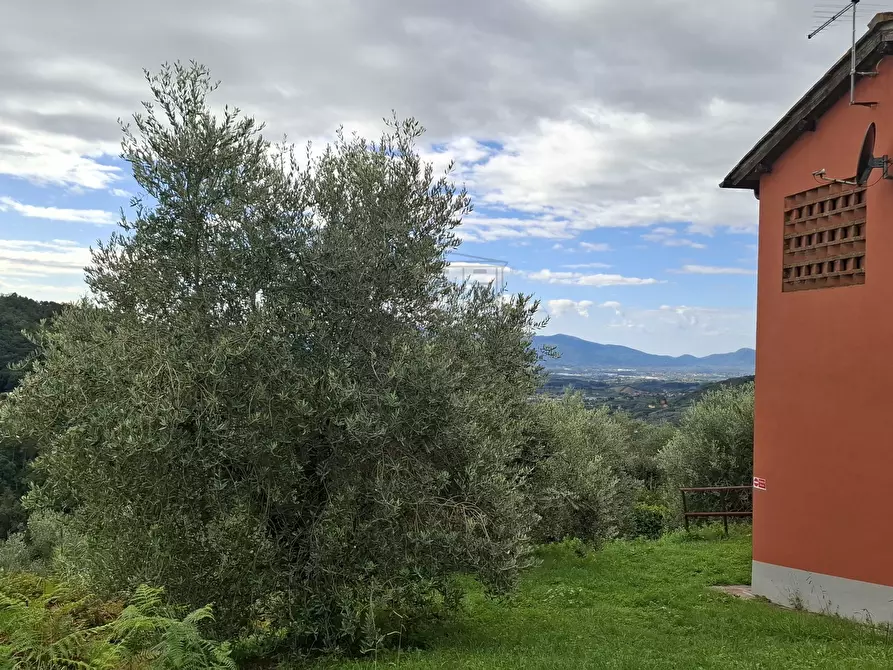 Immagine 25 di Rustico / casale in vendita  in Via Casa Nuova a Pescia