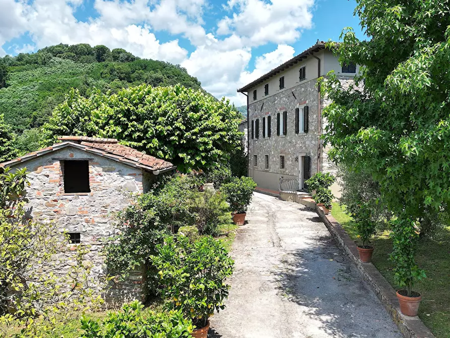 Immagine 4 di Villa in vendita  in San Martino in Freddana a Lucca