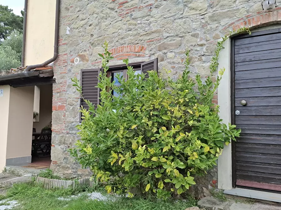 Immagine 11 di Rustico / casale in vendita  in Via Casa Nuova a Pescia