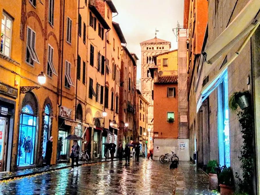 Immagine 5 di Locale commerciale in affitto  a Lucca