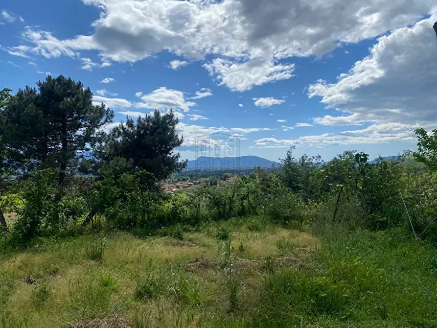 Immagine 18 di Rustico / casale in vendita  in Via di Palmata 425 a Lucca