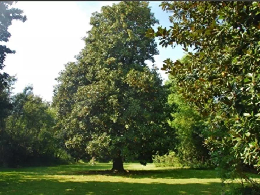 Immagine 9 di Villa in affitto  in Via di Piaggiori 316 a Capannori