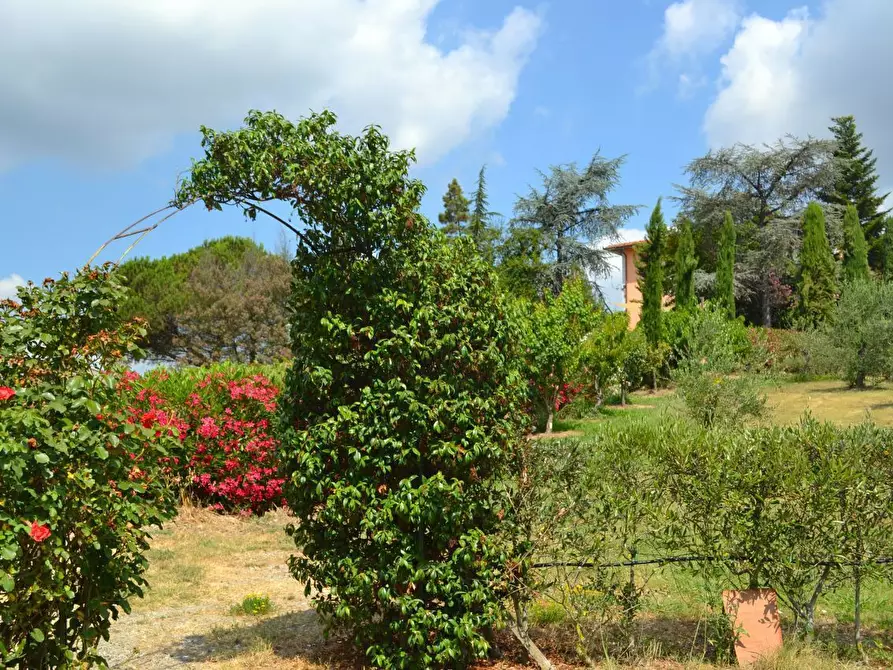 Immagine 10 di Rustico / casale in vendita  in via di san martino a Lucca