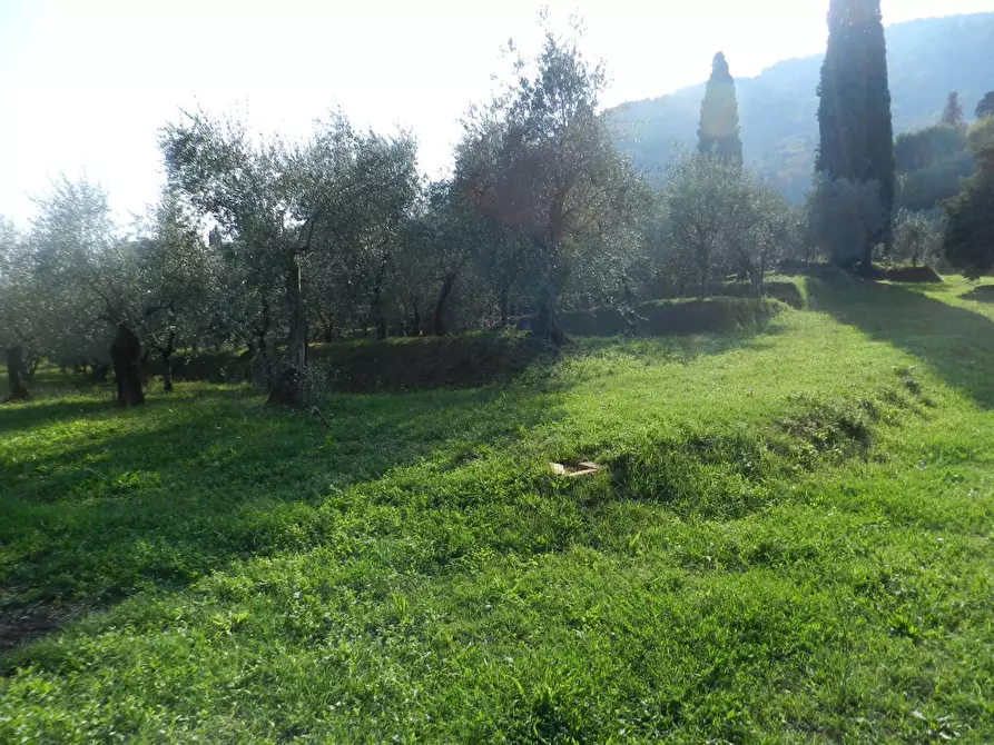 Immagine 15 di Rustico / casale in vendita  in Via di Villa Gaia 508 a Lucca