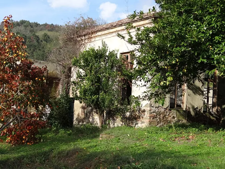 Immagine 15 di Villa in vendita  in Via Ludovica 6927 a Lucca