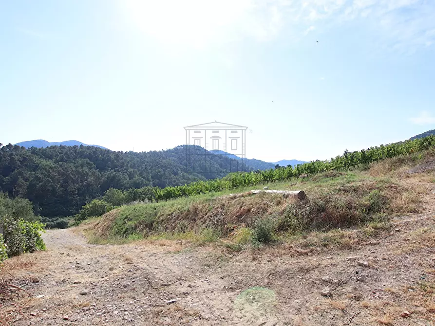 Immagine 9 di Rustico / casale in vendita  in Via del Francia 95 a Lucca