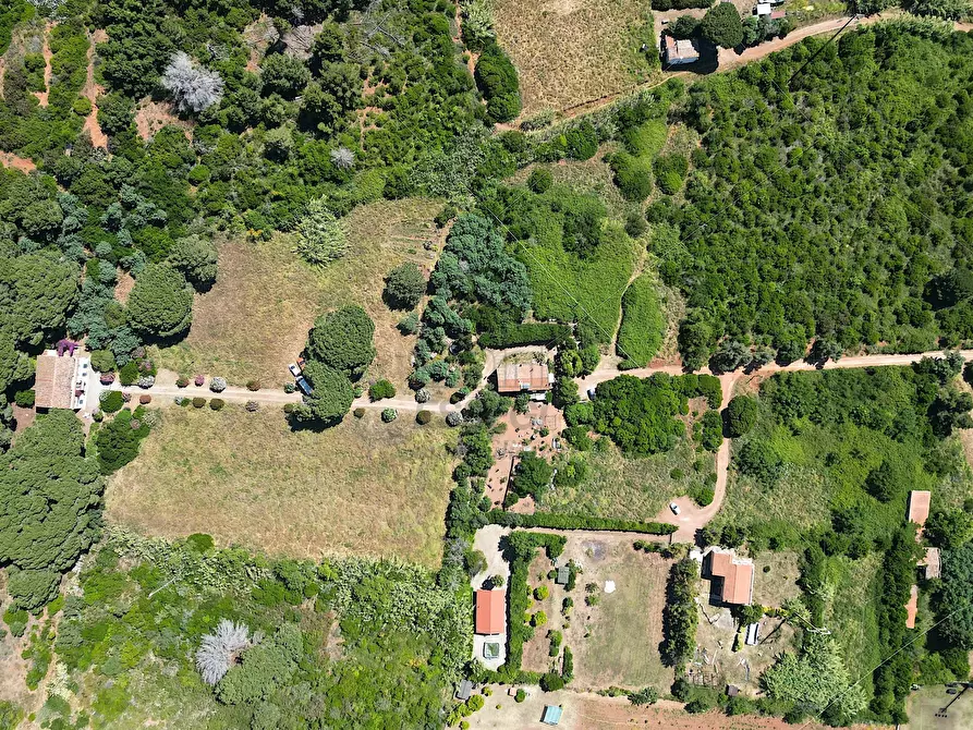 Immagine 22 di Rustico / casale in vendita  in Località Monte 4 a Porto Azzurro