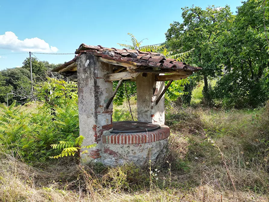 Immagine 6 di Rustico / casale in vendita  in Via del brennero 126 a Lucca