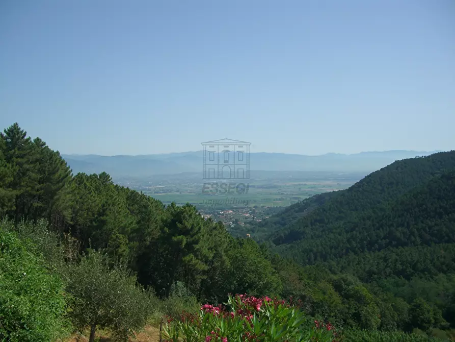 Immagine 6 di Rustico / casale in vendita  in viadon aldo mei a Buti