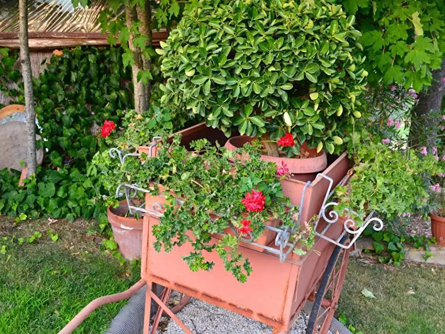 Immagine 17 di Rustico / casale in vendita  in via di san martino a Lucca