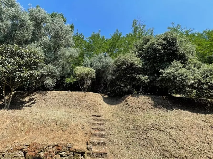 Immagine 30 di Villa in vendita  a Lucca