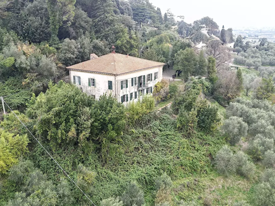 Immagine 17 di Villa in vendita  in SP1 4590 a Lucca