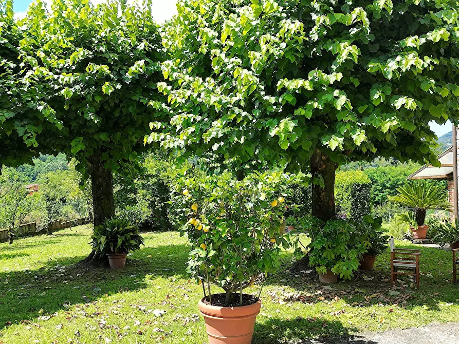 Immagine 9 di Villa in vendita  in San Martino in Freddana a Lucca