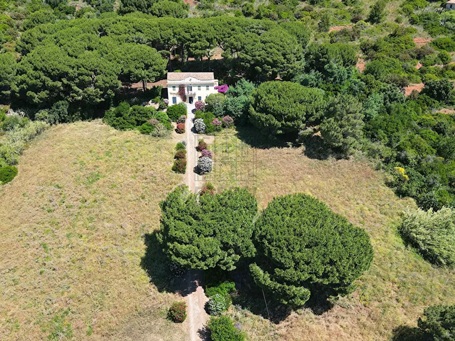 Immagine 24 di Rustico / casale in vendita  in Località Monte 4 a Porto Azzurro