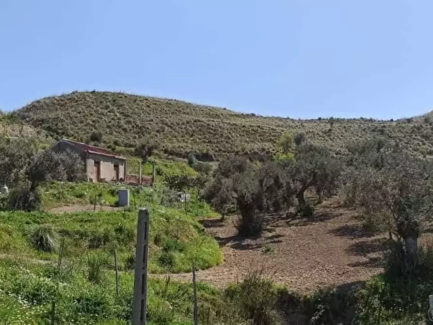 Immagine 6 di Terreno agricolo in vendita  a Motta San Giovanni