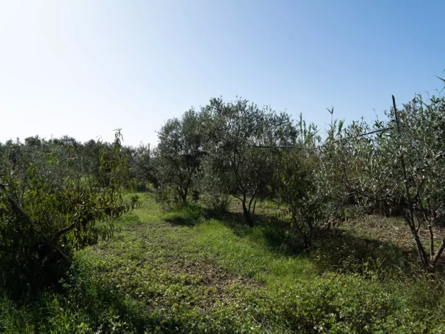 Immagine 4 di Villa in vendita  a San Sperate