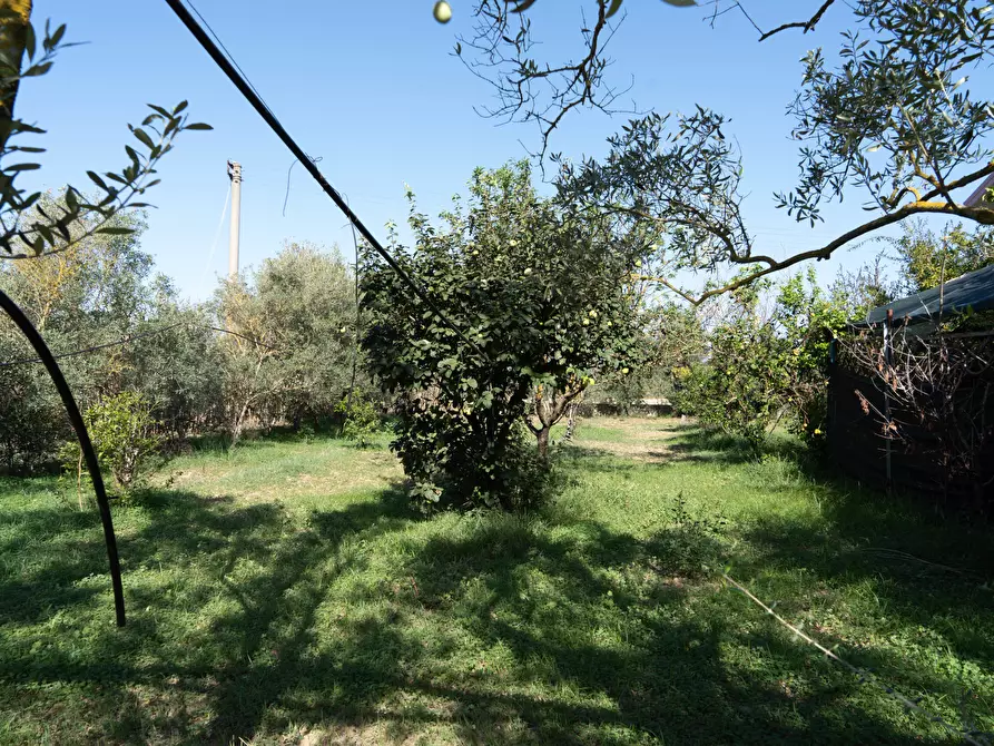 Immagine 3 di Villa in vendita  a San Sperate