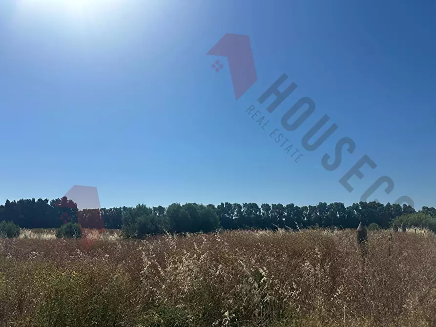 Immagine 1 di Terreno agricolo in vendita  a Quartu Sant'elena