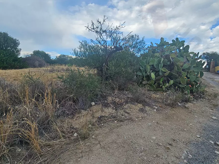 Immagine 5 di Terreno agricolo in vendita  in via niu crobu 49 a Quartu Sant'elena