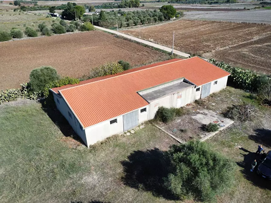 Immagine 4 di Magazzino in vendita  a Monastir