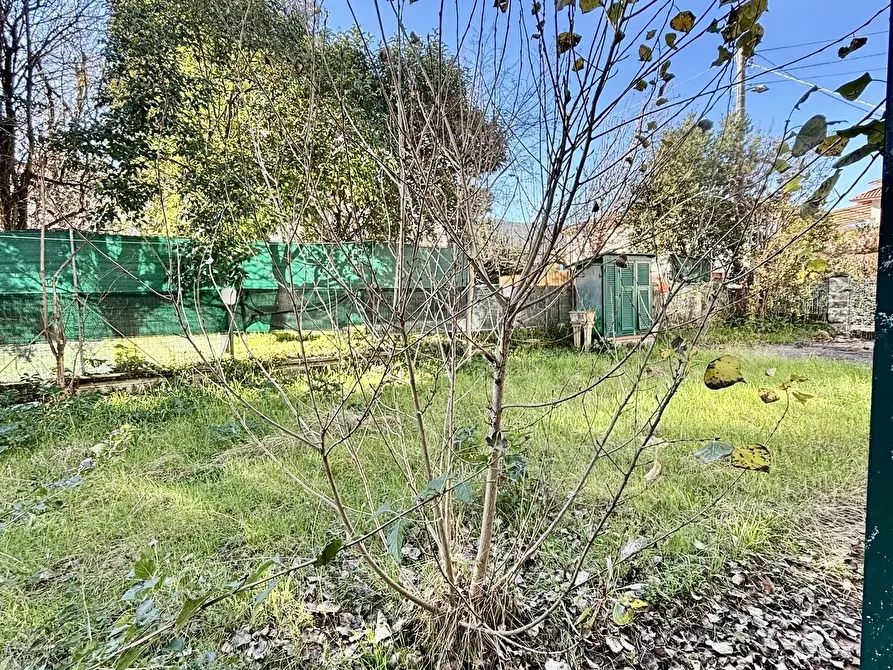 Immagine 18 di Bar / Ristorante in vendita  a Ameglia