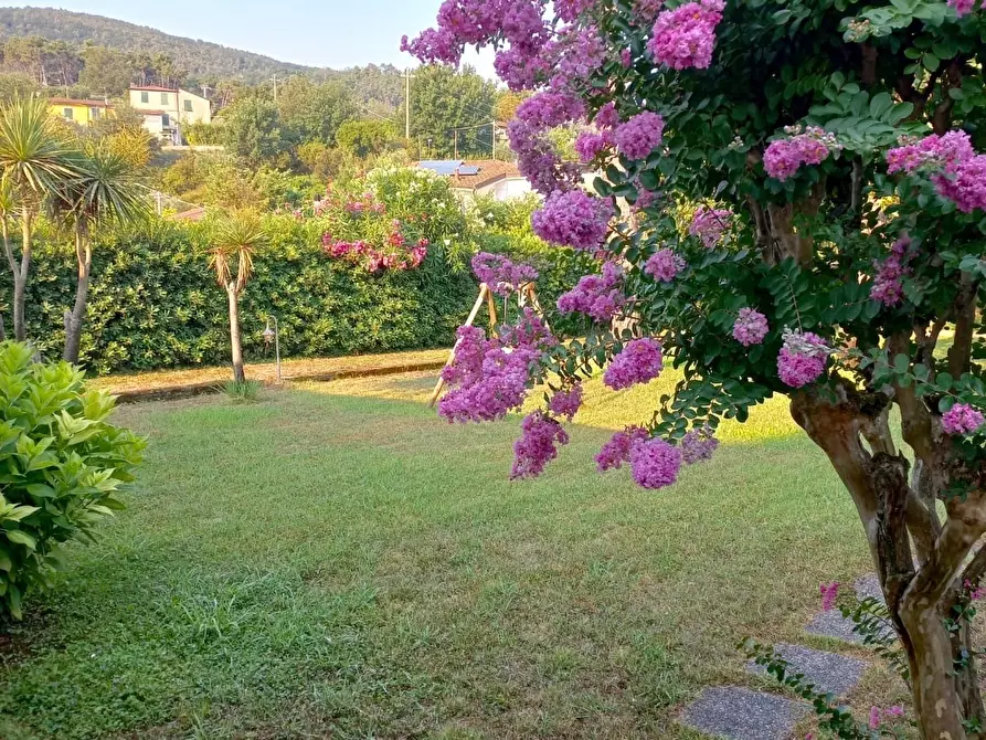 Immagine 4 di Villa in vendita  a Ameglia