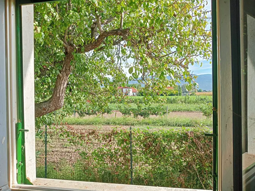 Immagine 14 di Casa indipendente in vendita  a Ameglia