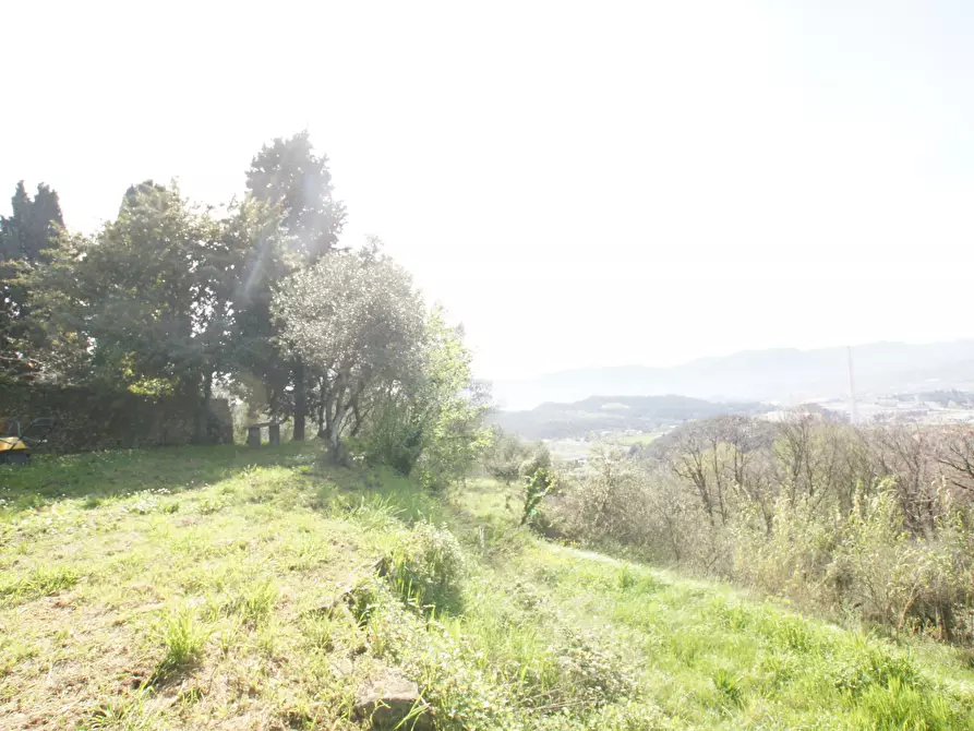 Immagine 5 di Casa trifamiliare in vendita  a Arcola