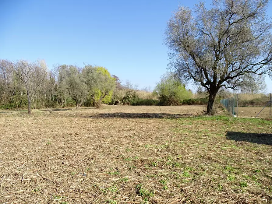 Immagine 7 di Rustico / casale in vendita  a Castelnuovo Magra