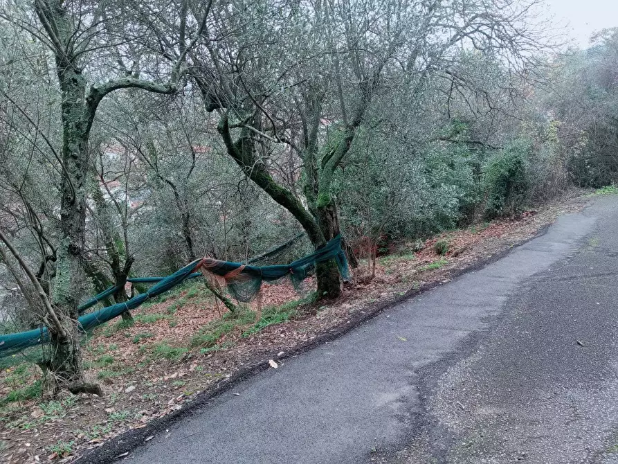 Immagine 8 di Terreno edificabile in vendita  a Ameglia