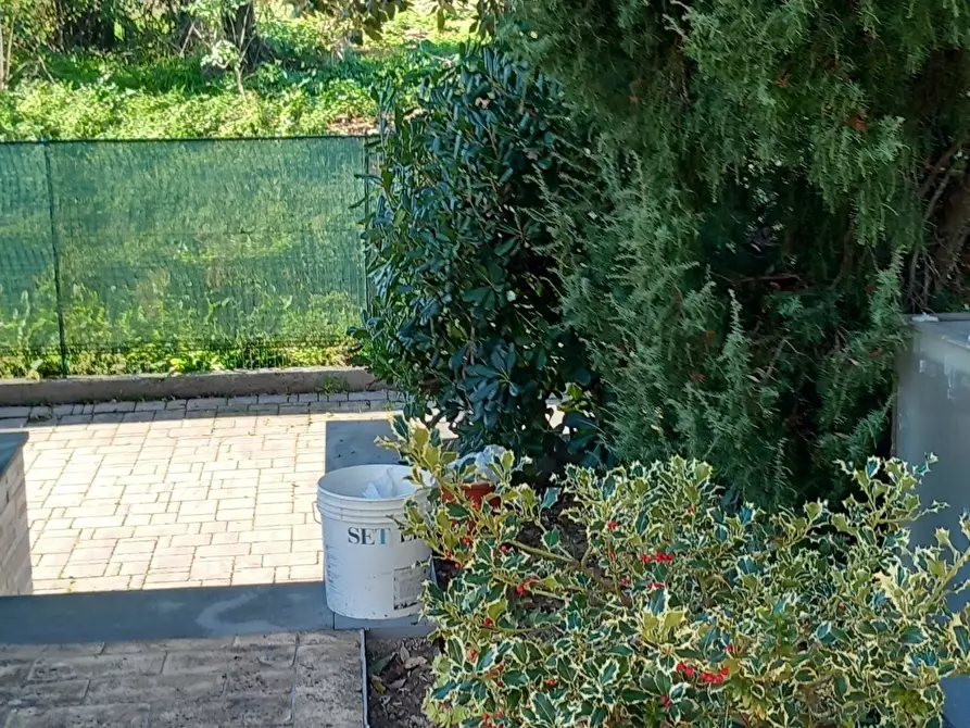 Immagine 24 di Casa indipendente in affitto  a Sarzana