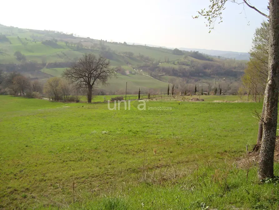 Immagine 12 di Casa indipendente in vendita  in via Barchio 2 a Cupramontana