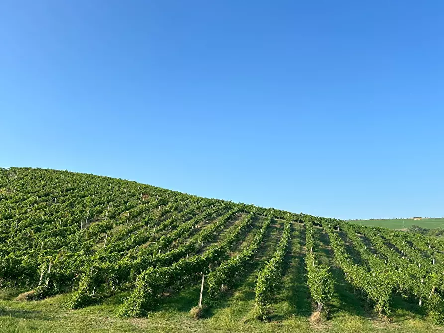 Immagine 5 di Porzione di casa in vendita  in Via Barlete a Valsamoggia